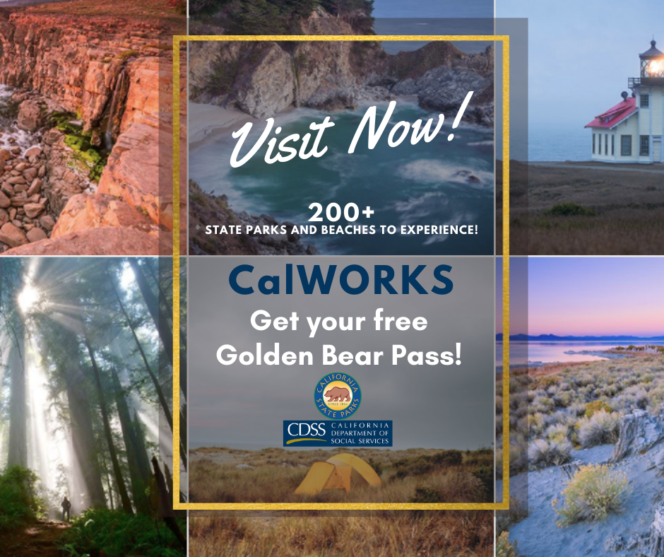 Golden Bear Pass Parks Background 1